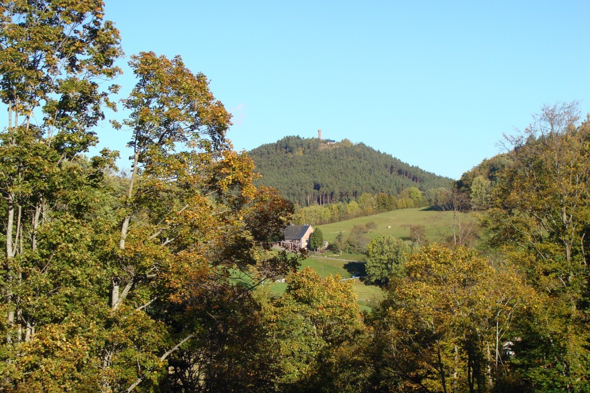 la vue vers la belle tour