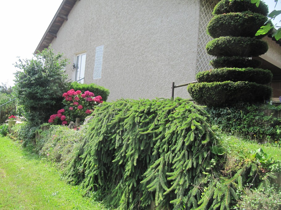 Photo n° 19 de la location