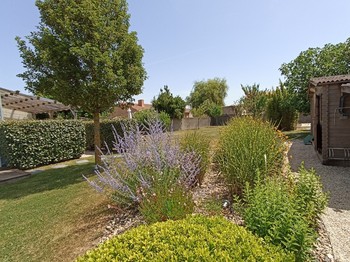 Jardin commun avec abris à vélos