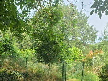 Photo n° 6 de la location