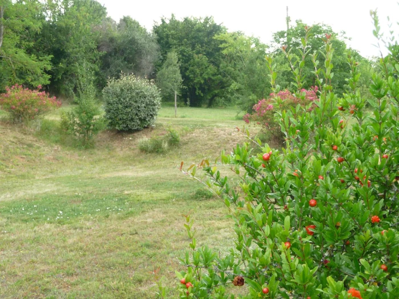 Terrain derrière maison