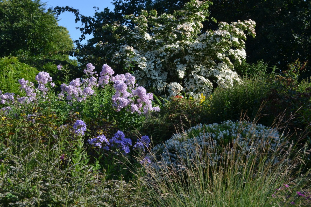Vue de la terrasse en été
