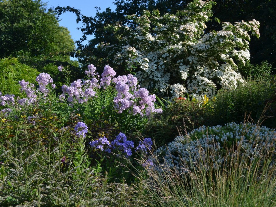 Vue de la terrasse en été
