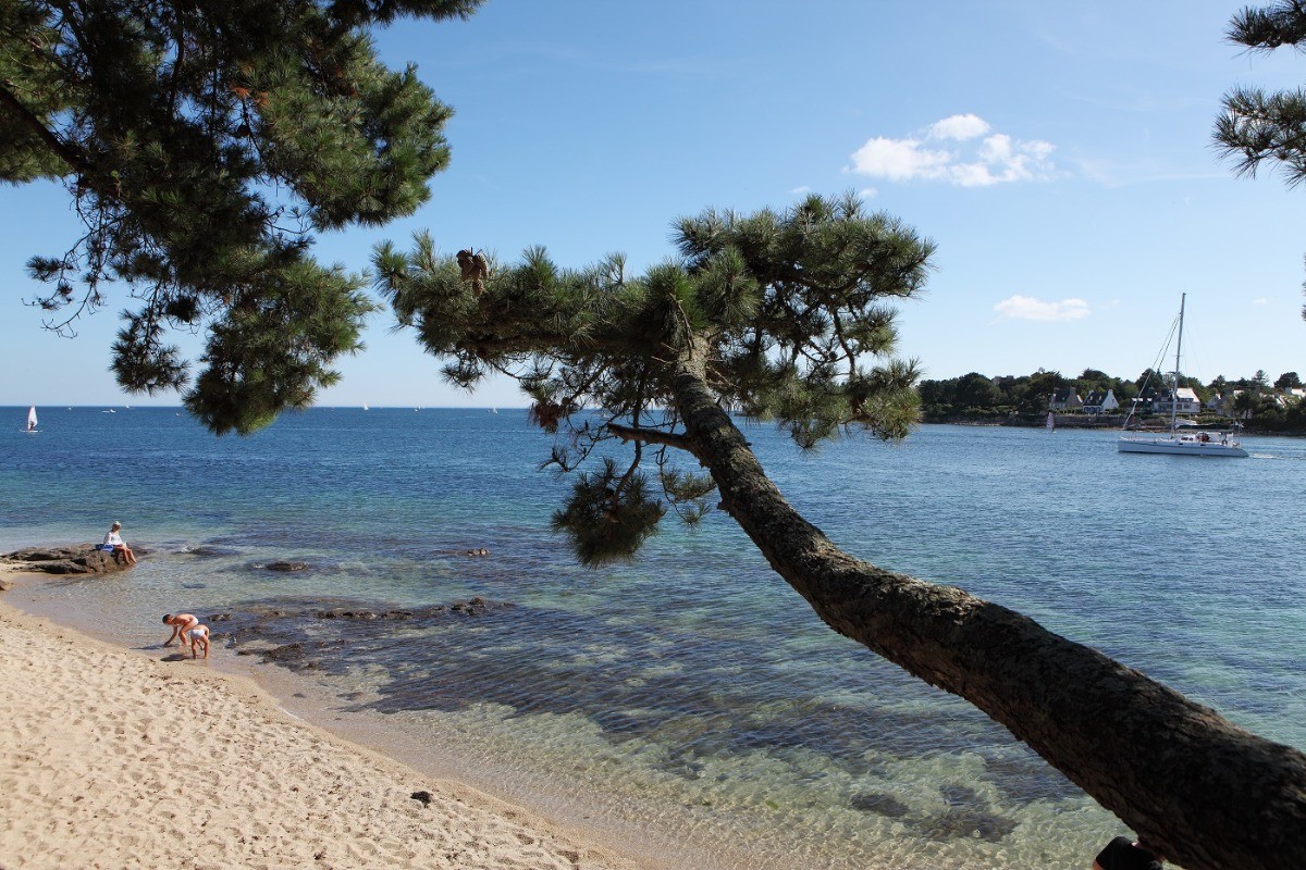 Photo n° 17 de la location