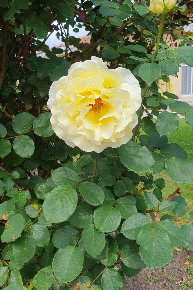 Photo n° 13 of the location