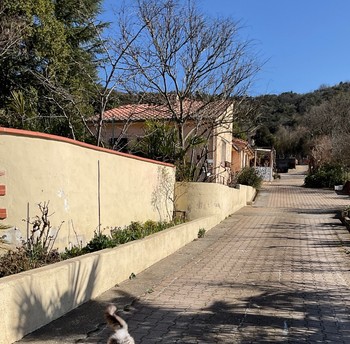 Allée privée qui conduit aux  gîtes