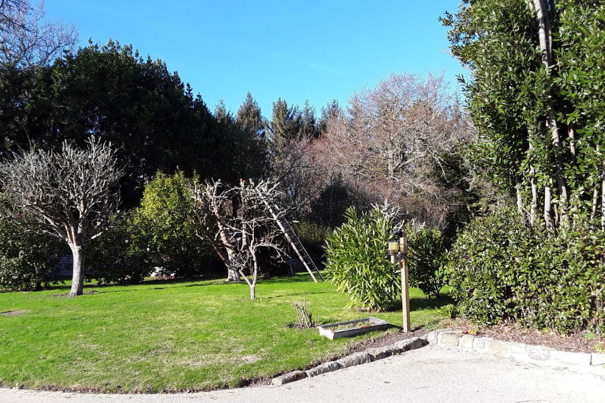vue sur verger