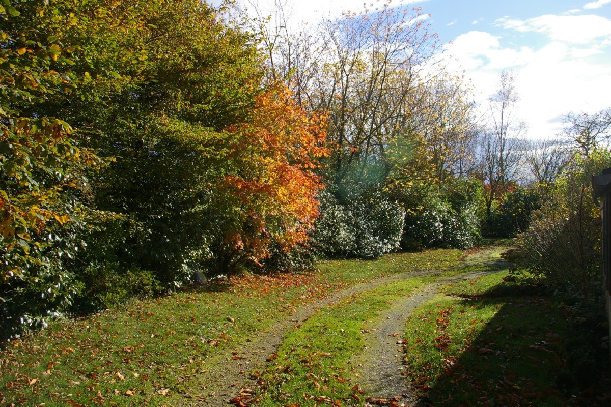 Couleurs d'automne au jardin- Maison de caractère à la campagne dans un superbe cadre , près de la mer. 5 pers.