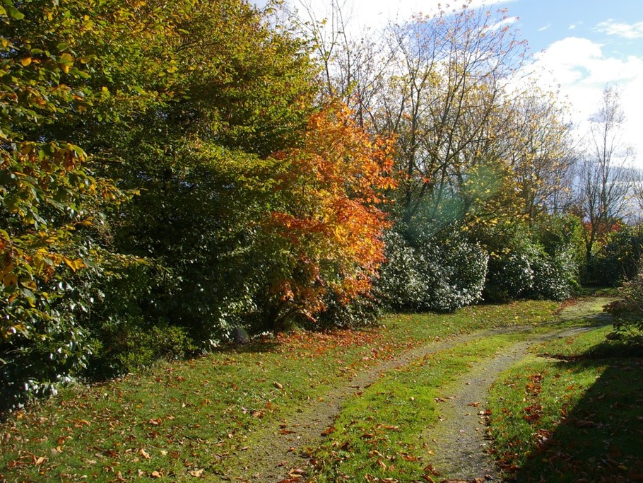 Couleurs d'automne au jardin- Maison de caractère à la campagne dans un superbe cadre , près de la mer. 5 pers.