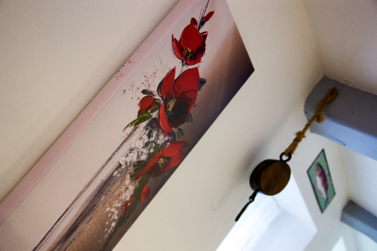 Photo n° 8 de la location