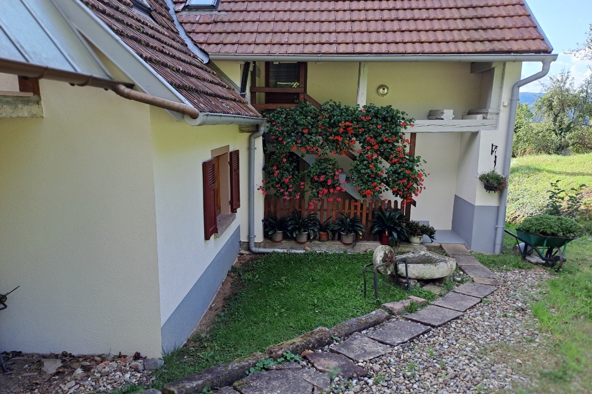 Photo n° 7 de la location