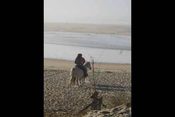 centre équestre dans le village
