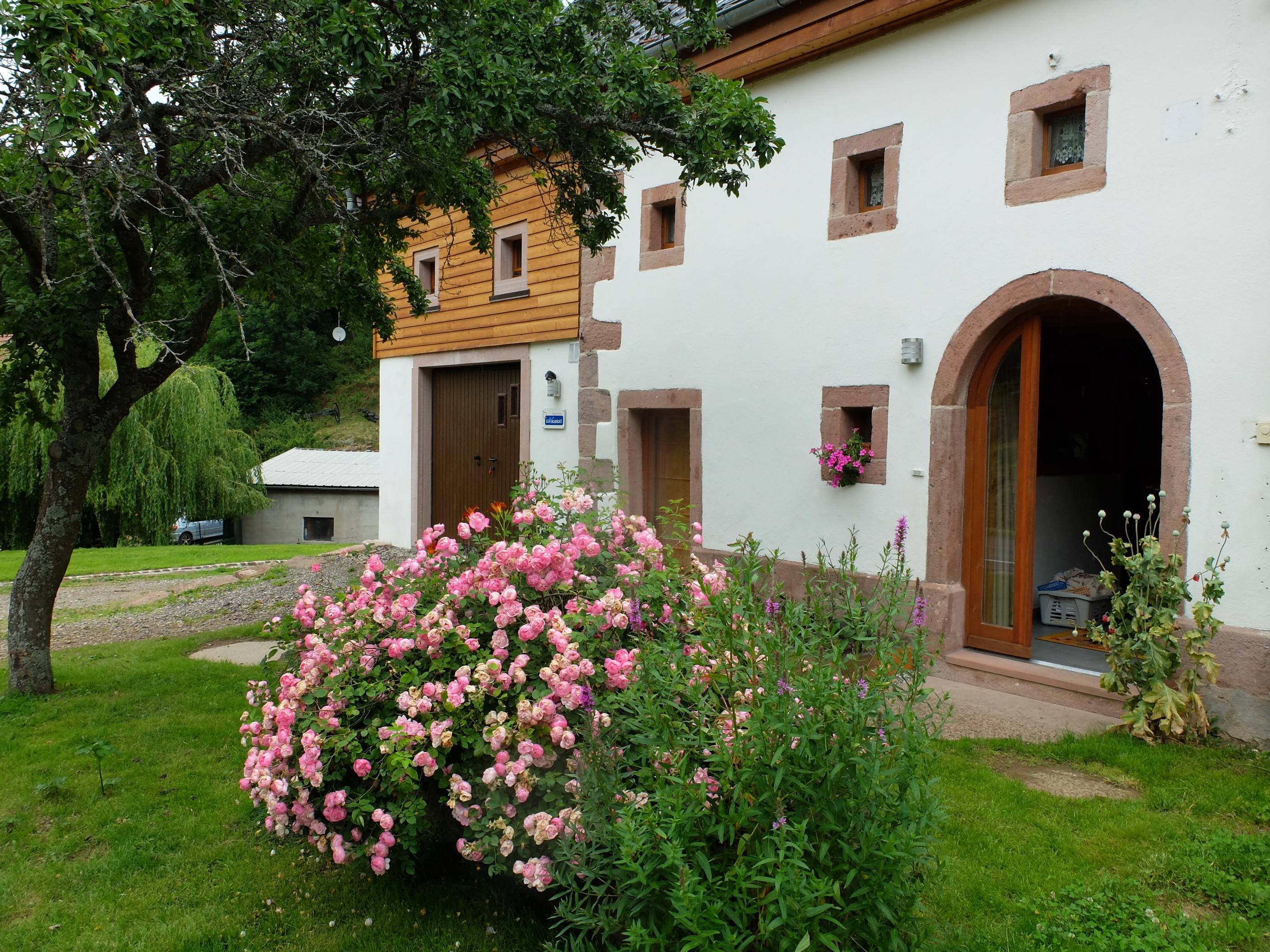 Photo n° 1 of the location