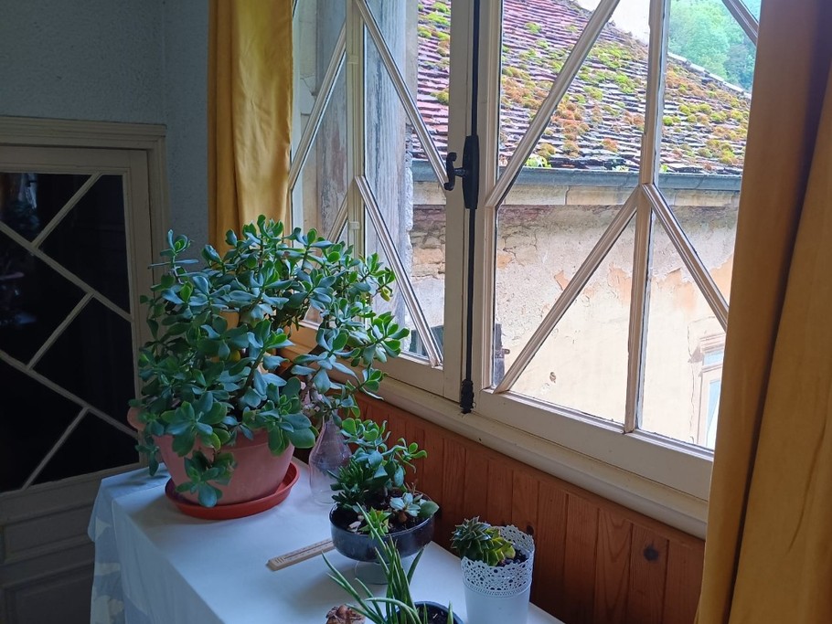 Photo n° 19 of the location