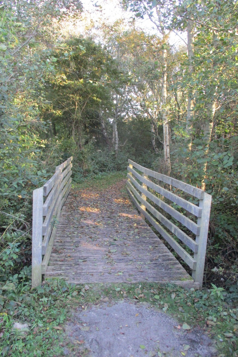 Rando sentier de l'anse