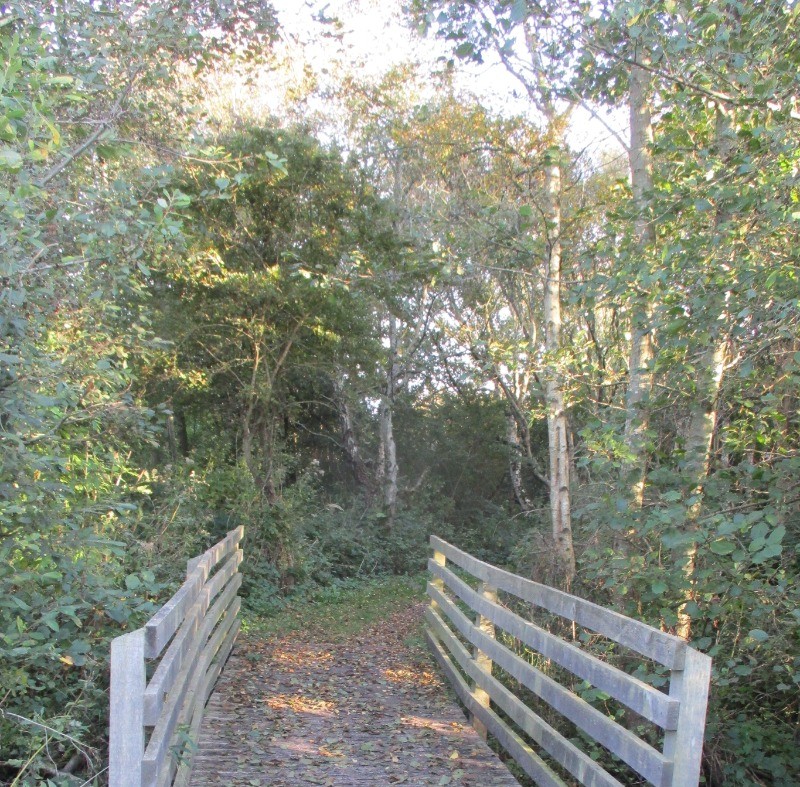 Rando sentier de l'anse