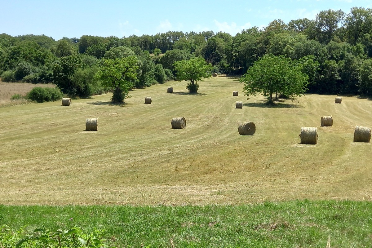 Vue sur la campagne Lotoise (arrière de la propriété)