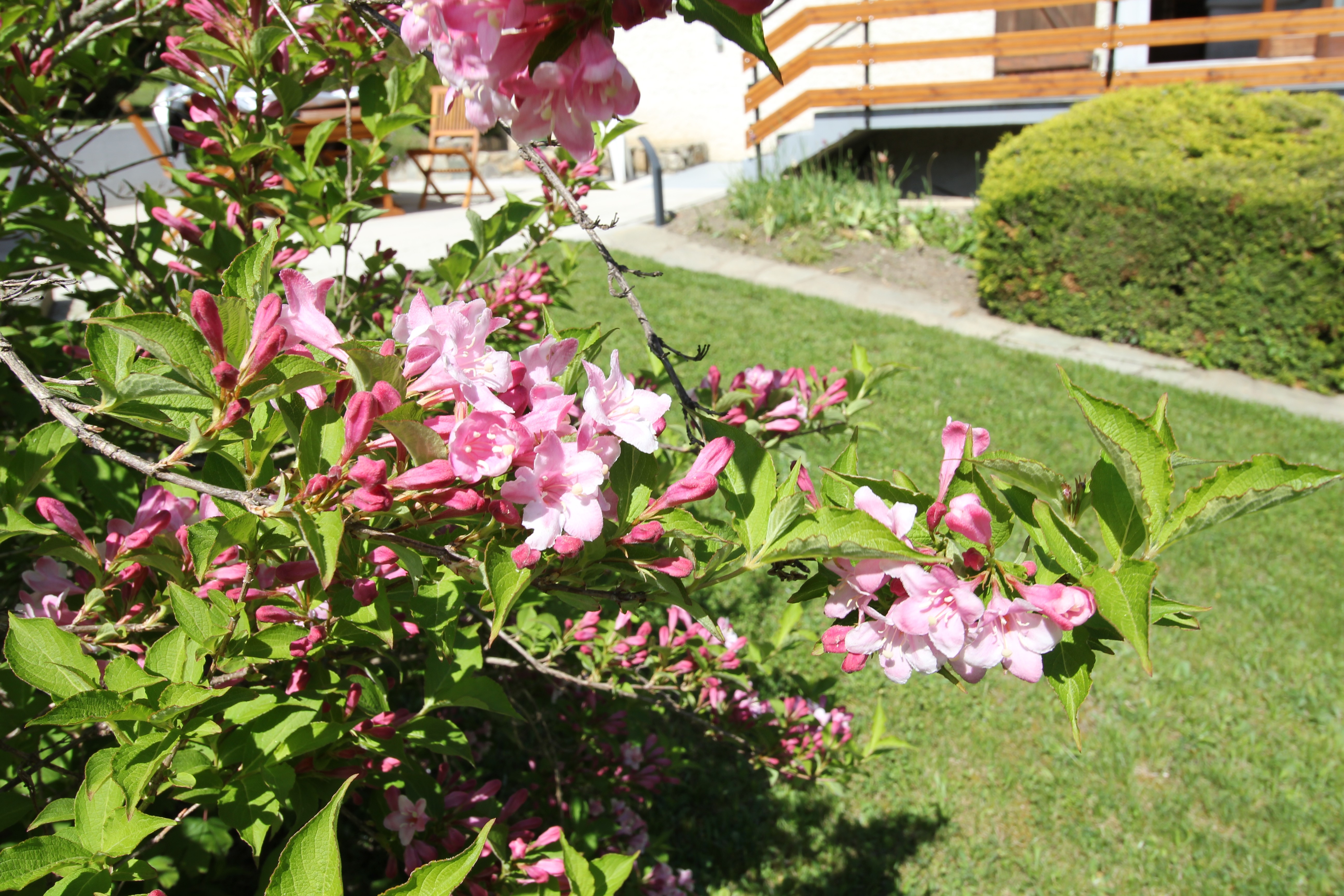 Photo n° 14 of the location