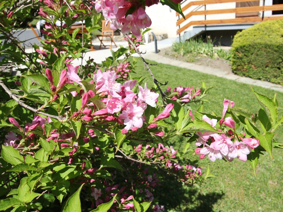 Photo n° 14 of the location