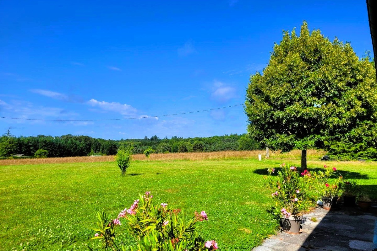 Photo n° 5 de la location