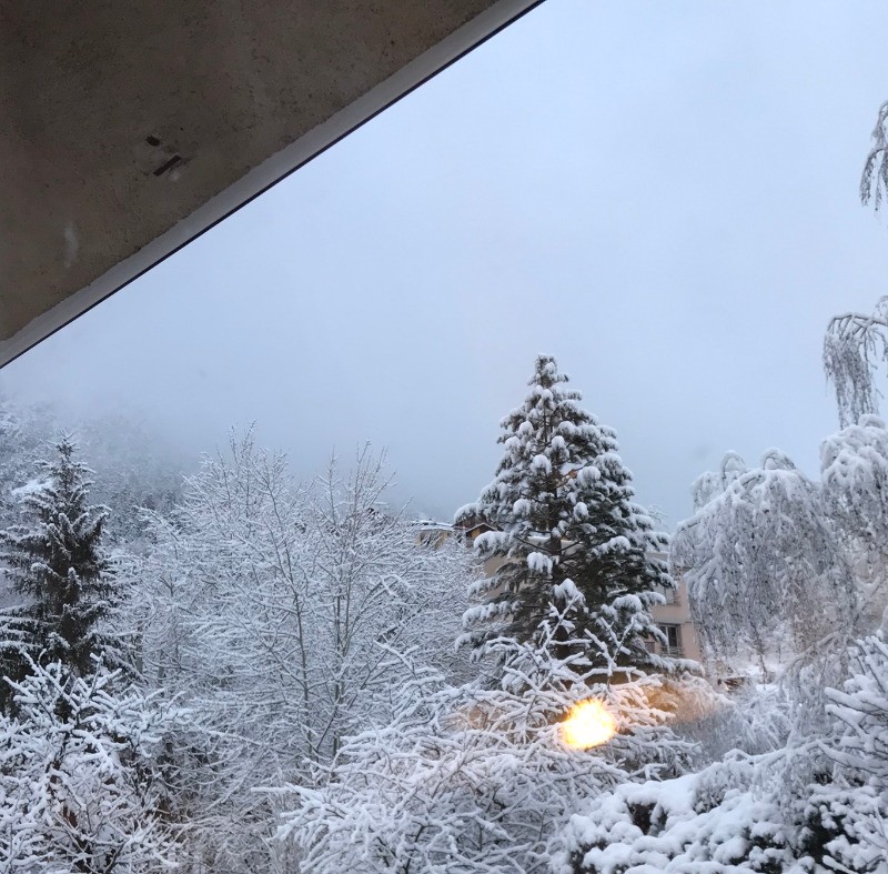 jardin vue vers le sud