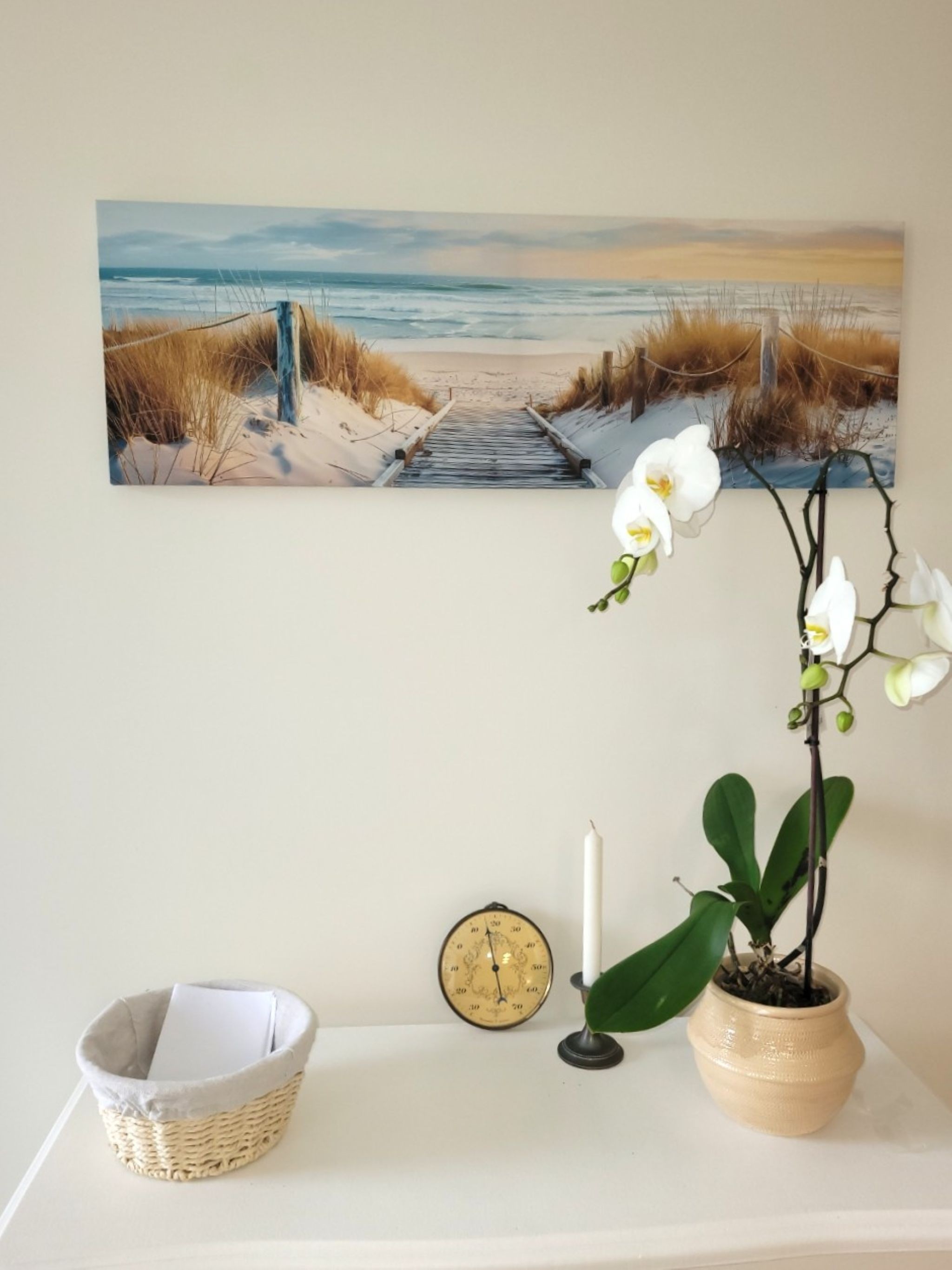 Image n° 4 de la location