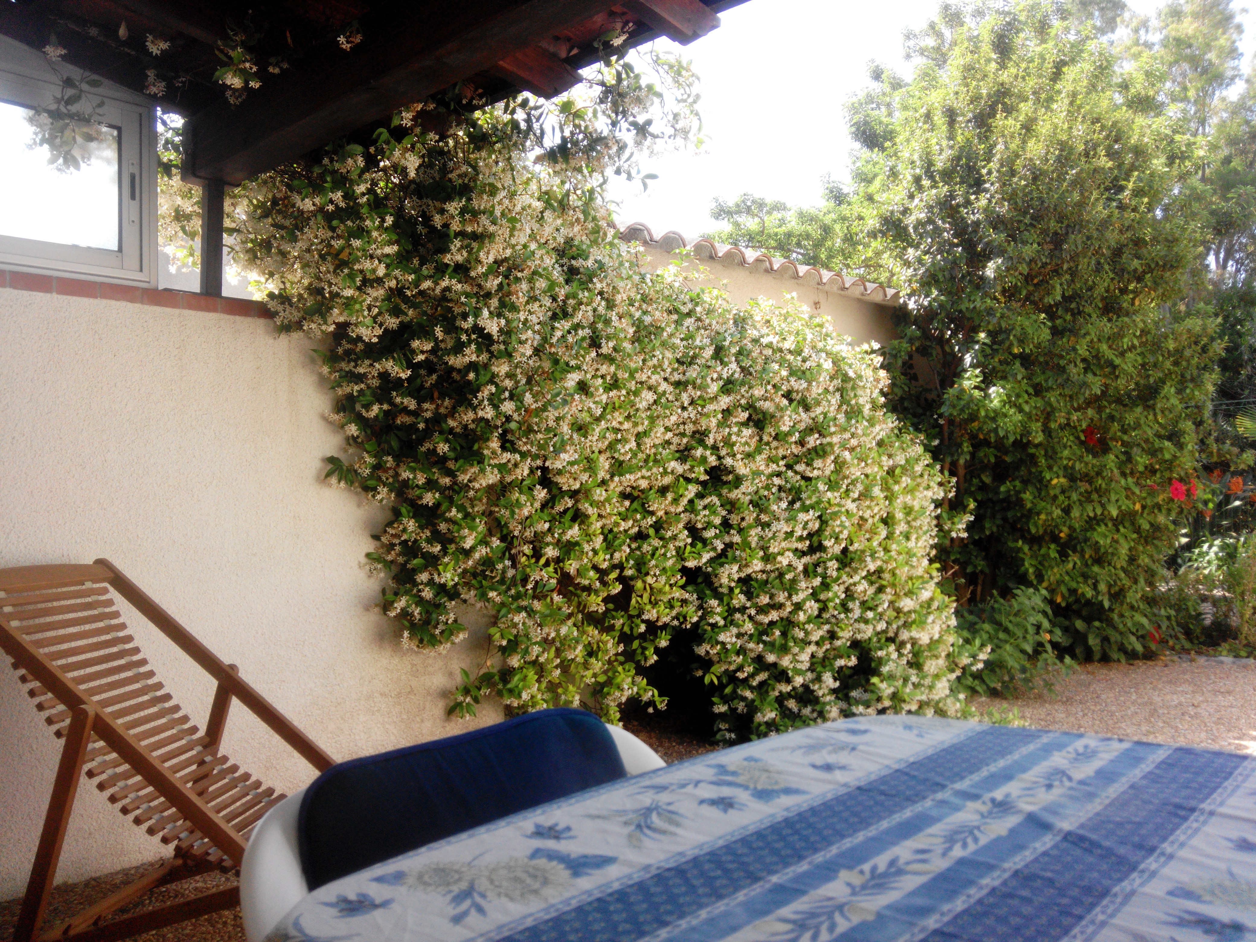 TERRASSE SUD A L OMBRE OU AU SOLEIL AVEC RELAX.TABLE.CHAISES.
