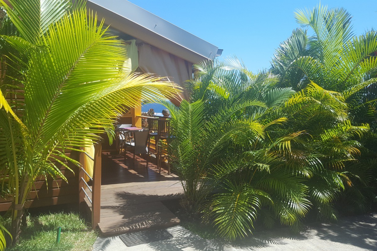 Bungalow Bois avec jacuzzi privatif - Poz Lagon chambre d'hôtes la Saline les bains