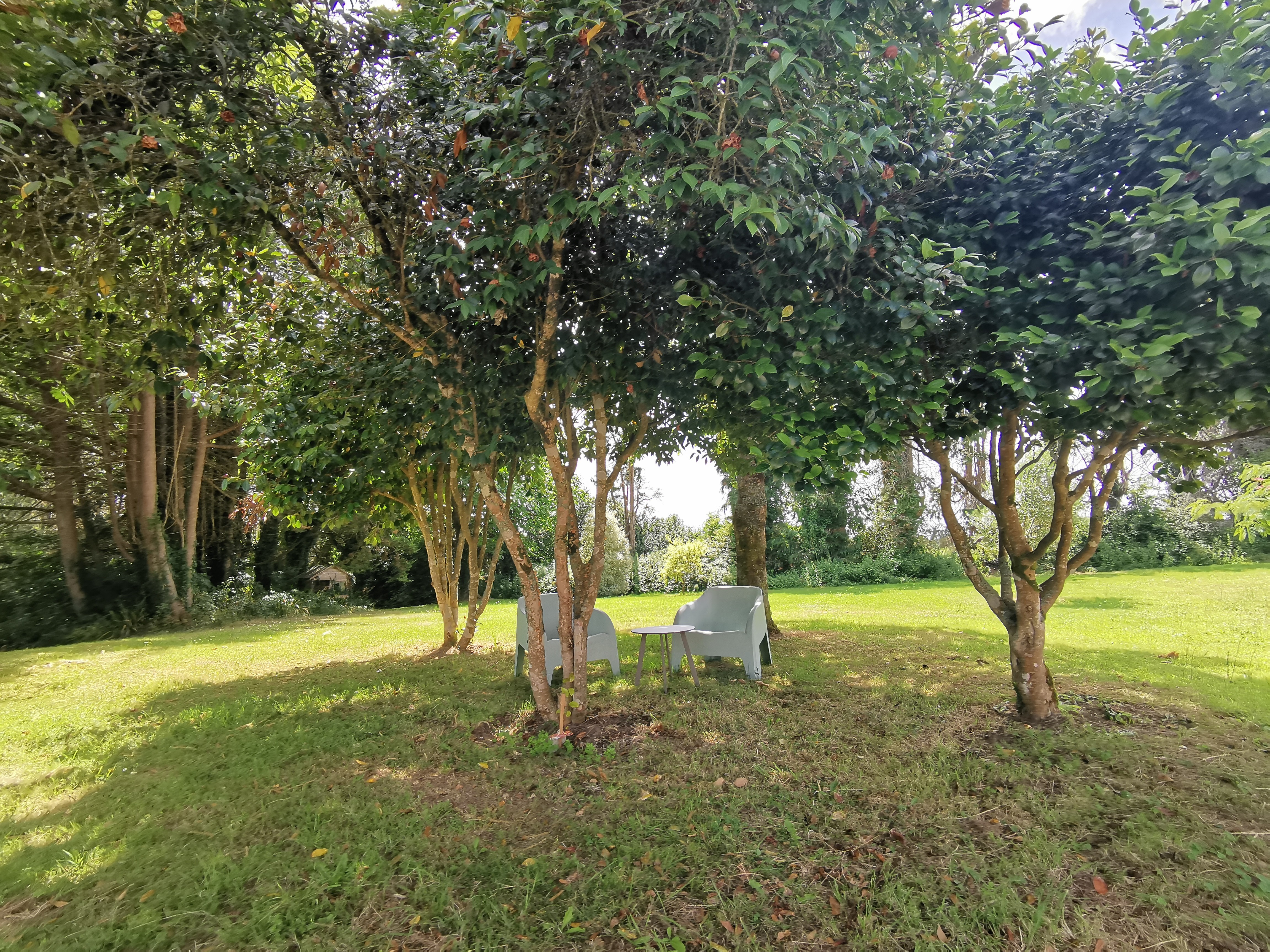 Shaded garden seating area
