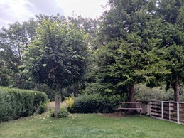 Image n° 5 de la location