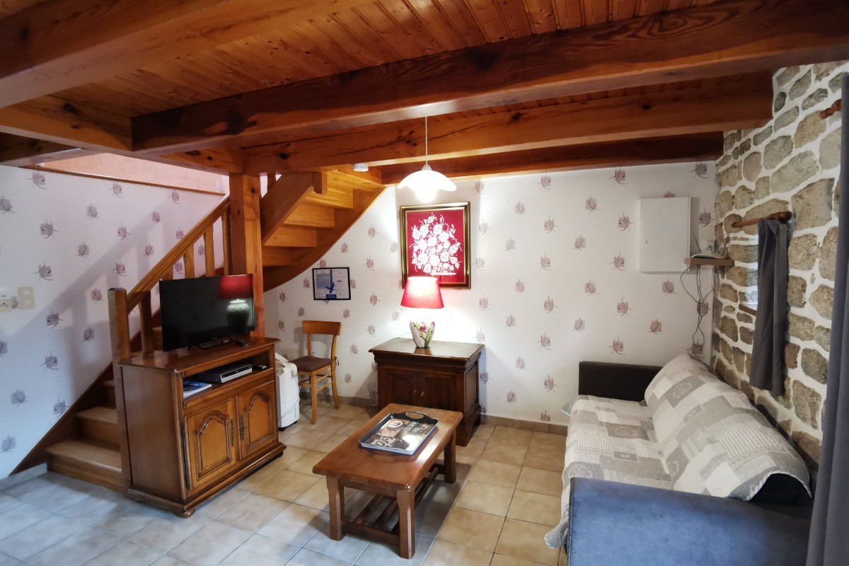 Salon avec TV / accès internet
