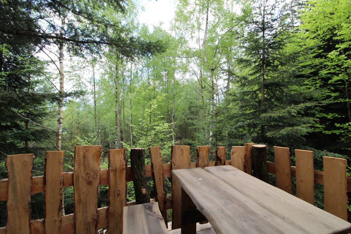 Terrasse, vue forêt - Galilée - Les Cabanes du Lac de Pierre Percée