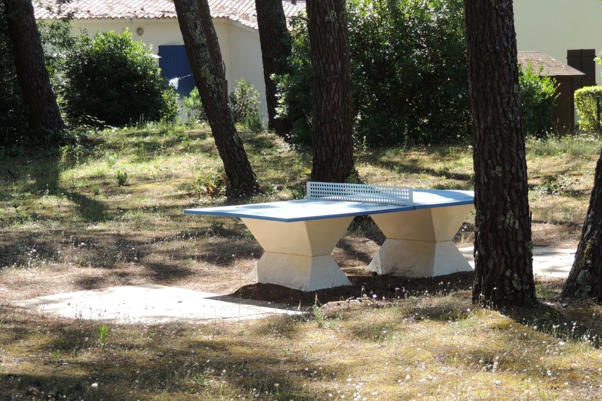 Aire de ping-pong