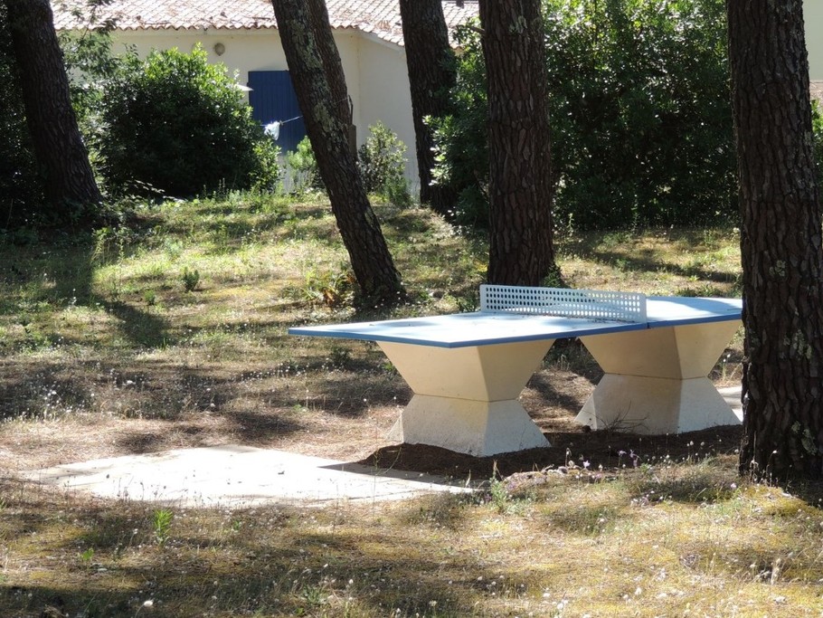 Aire de ping-pong