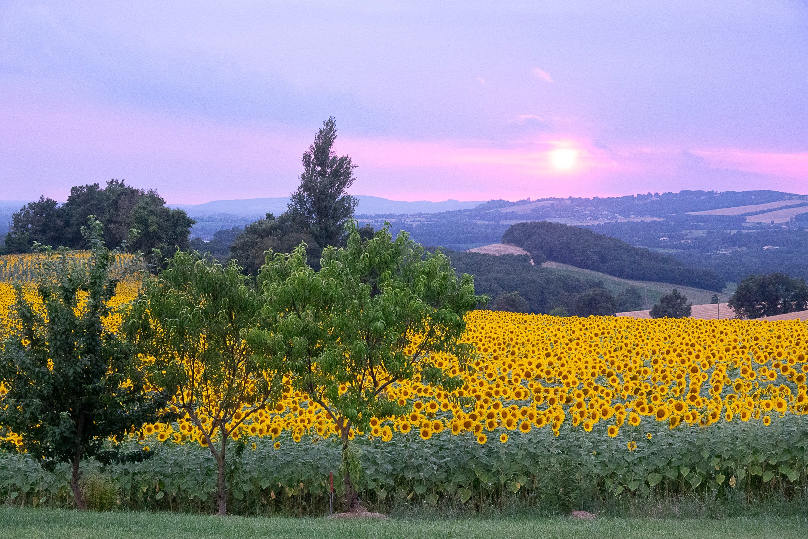 Coucher de soleil