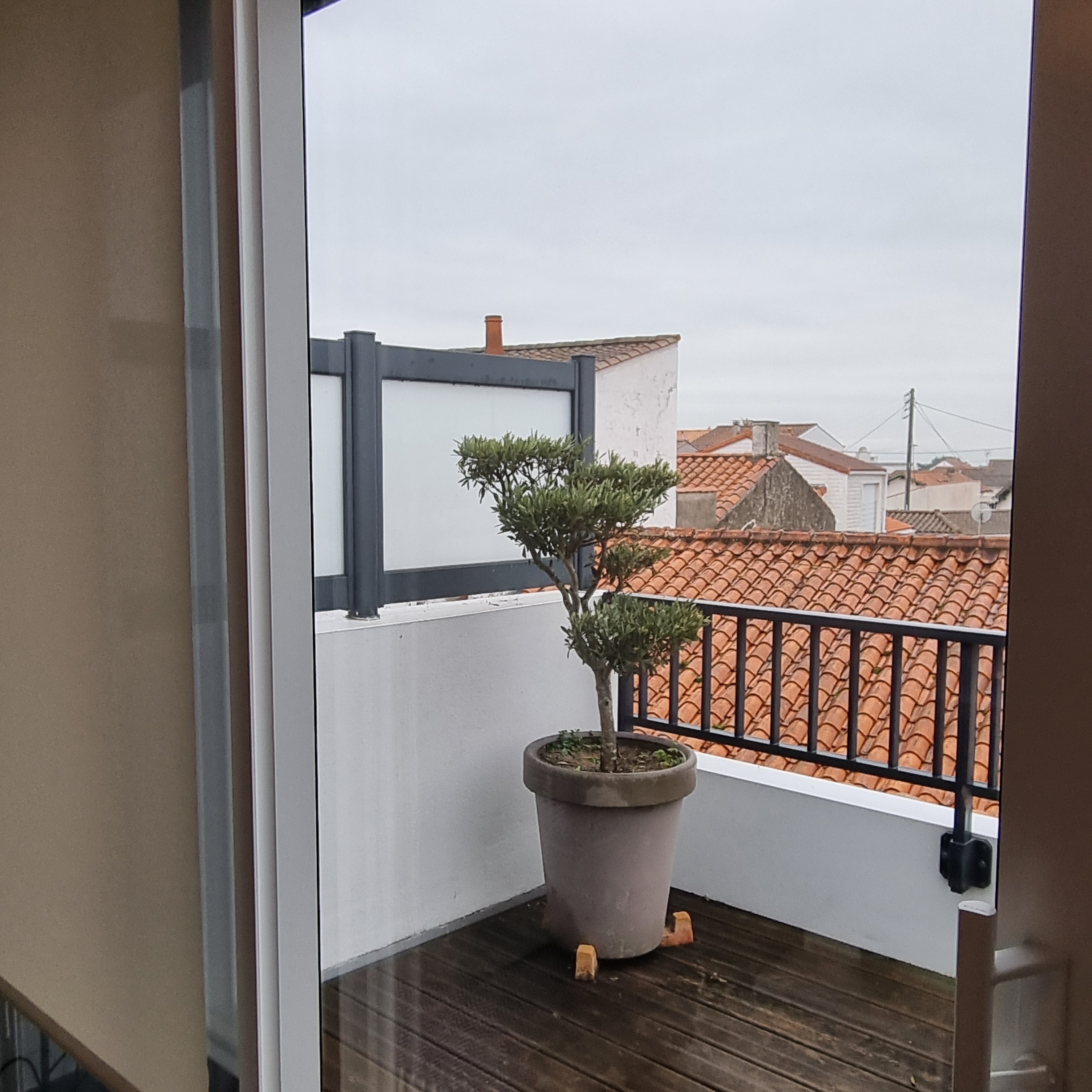 la terrasse vue du canapé