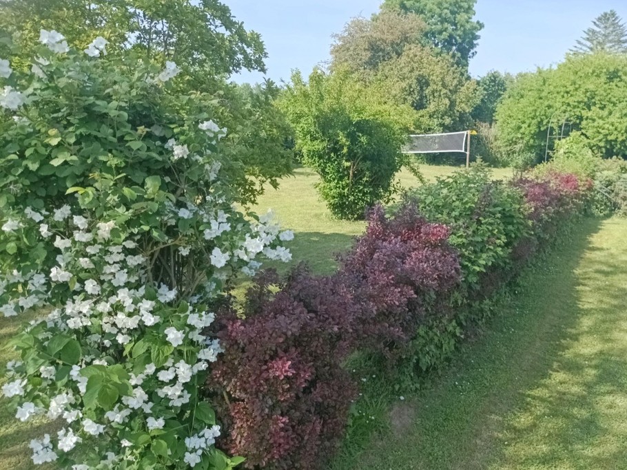 Photo n° 15 of the location