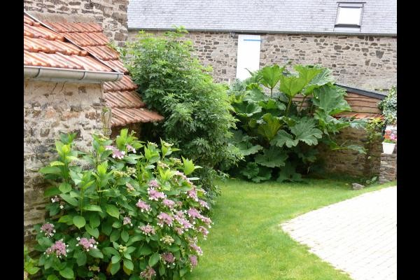 Le jardin