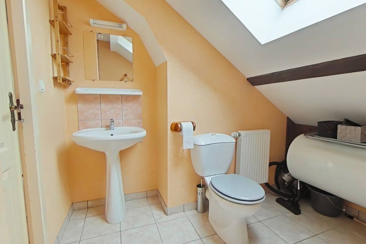 Salle d'eau avec wc - Appartement l'Améthyste à Ventron