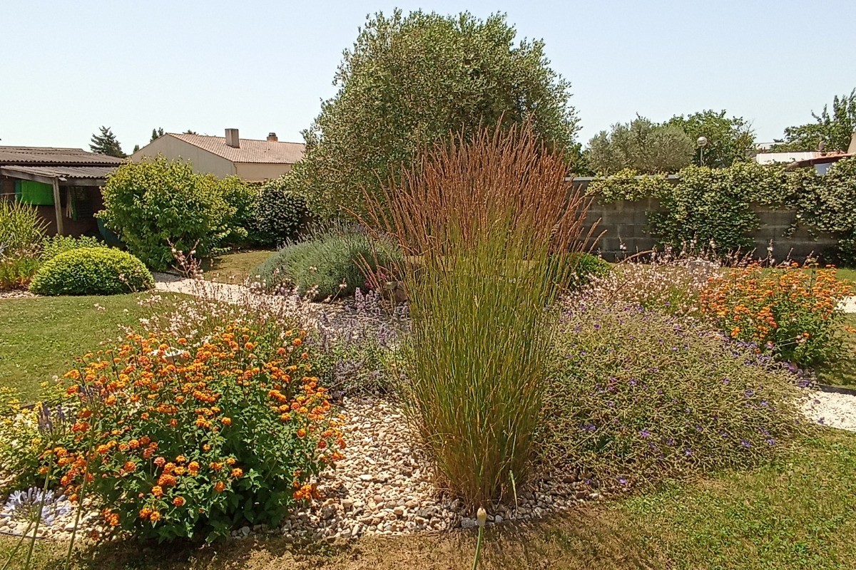 Photo n° 12 of the location
