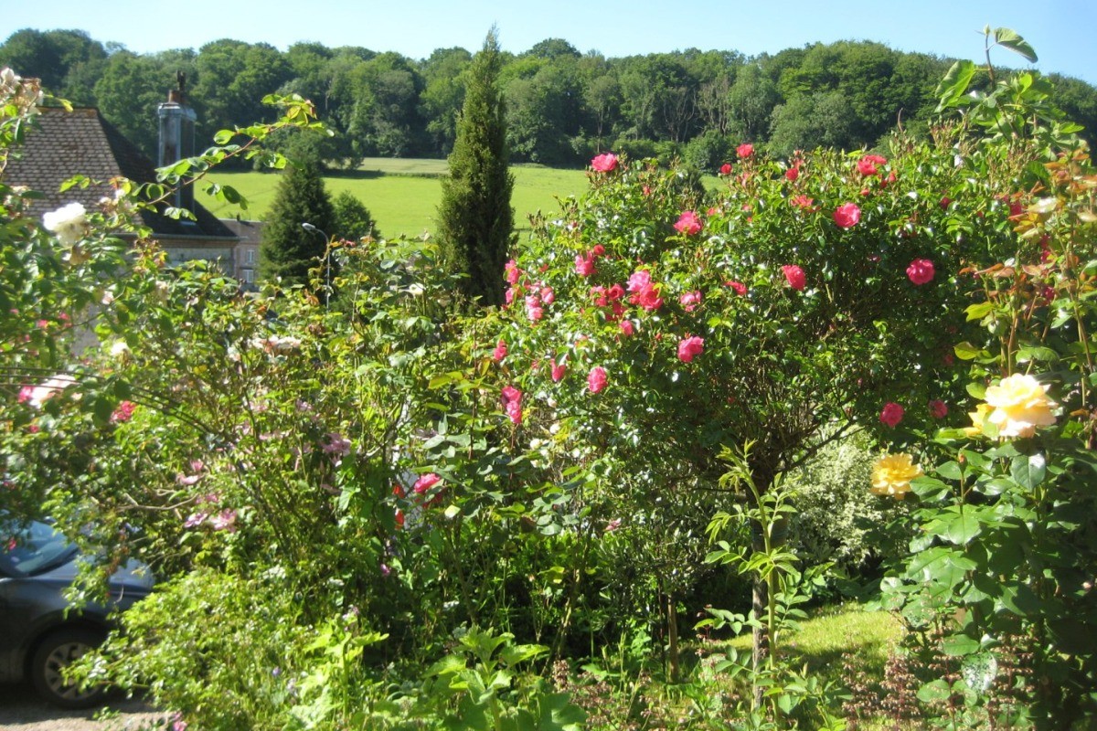 Chambre d'hôtes Capucine - La petite vallée