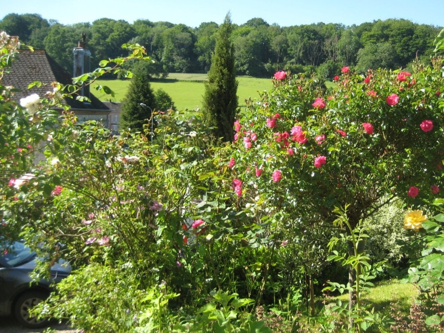 Chambre d'hôtes Capucine - La petite vallée