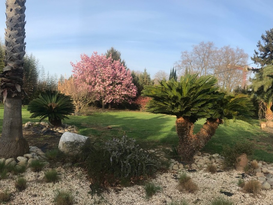 Parc