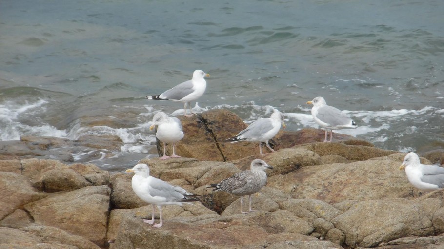 Photo n° 0 de la location