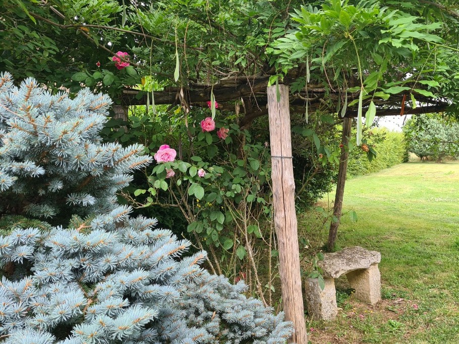 Photo n° 19 de la location