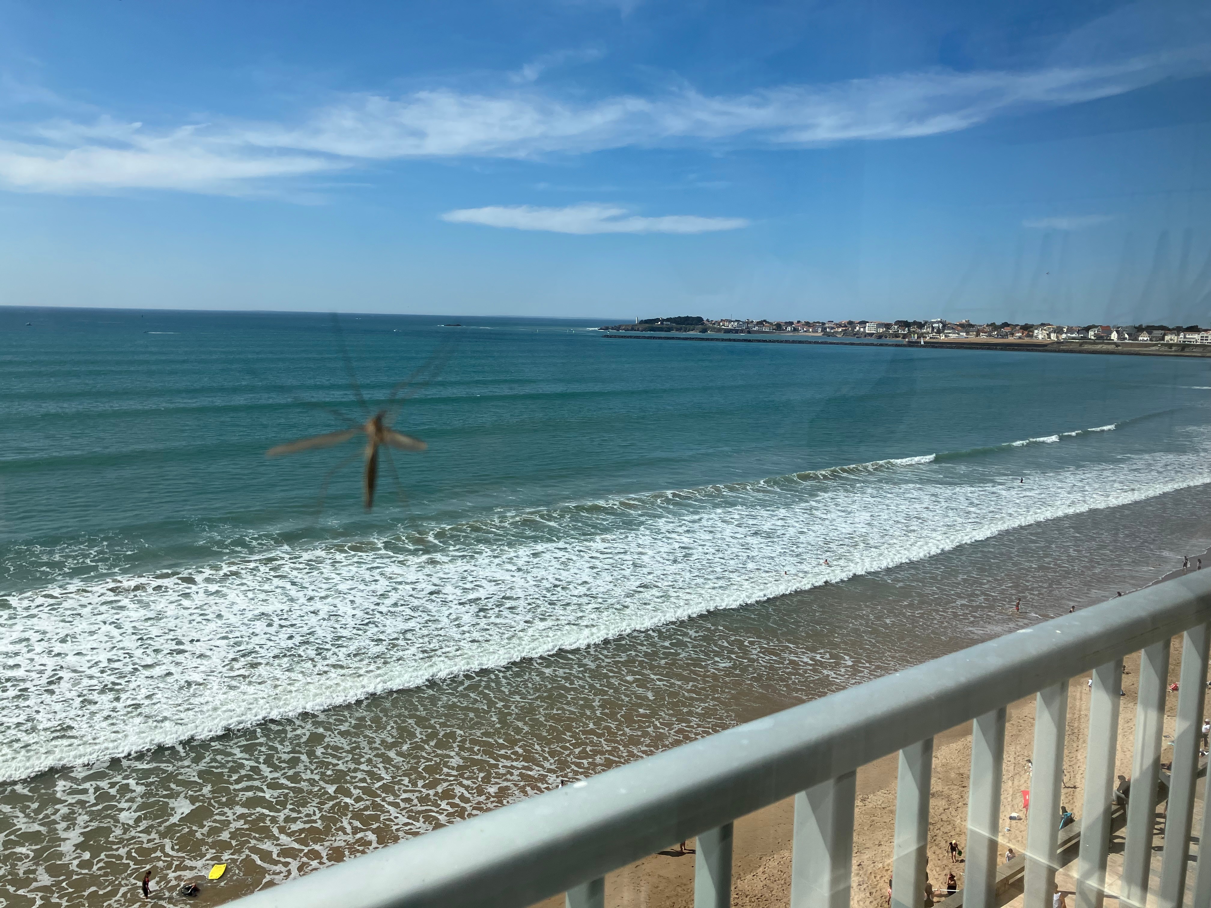 Photo n° 19 of the location