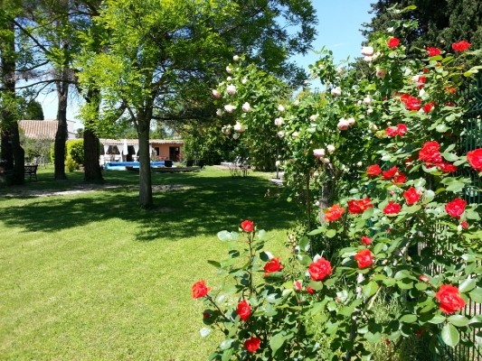 Photo n° 5 of the location