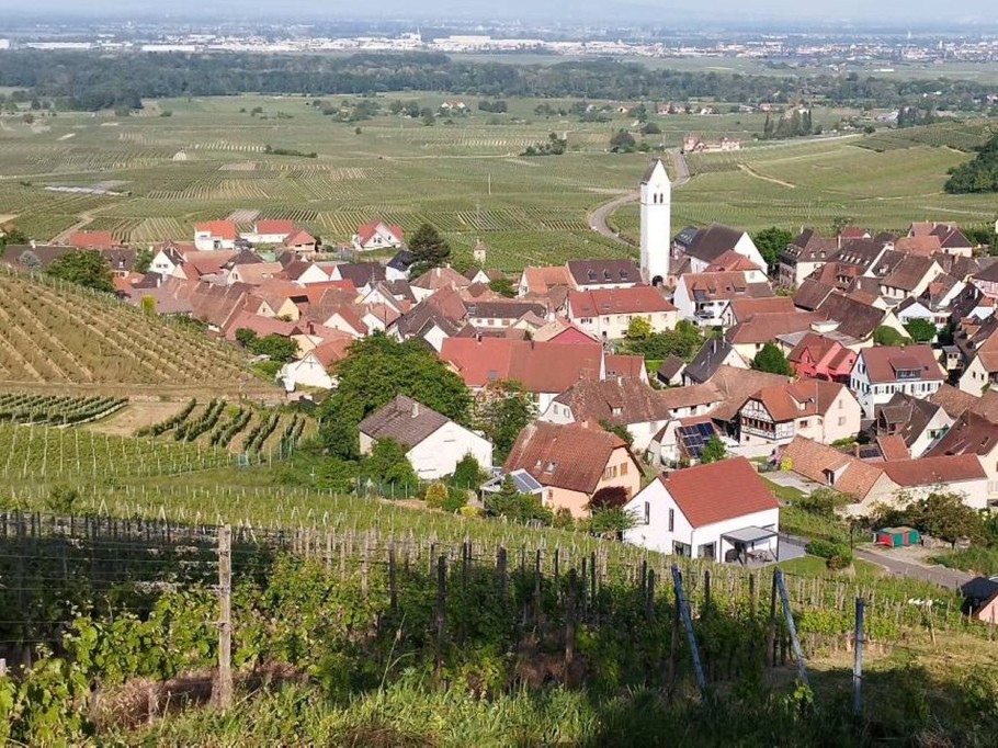 Photo n° 14 of the location