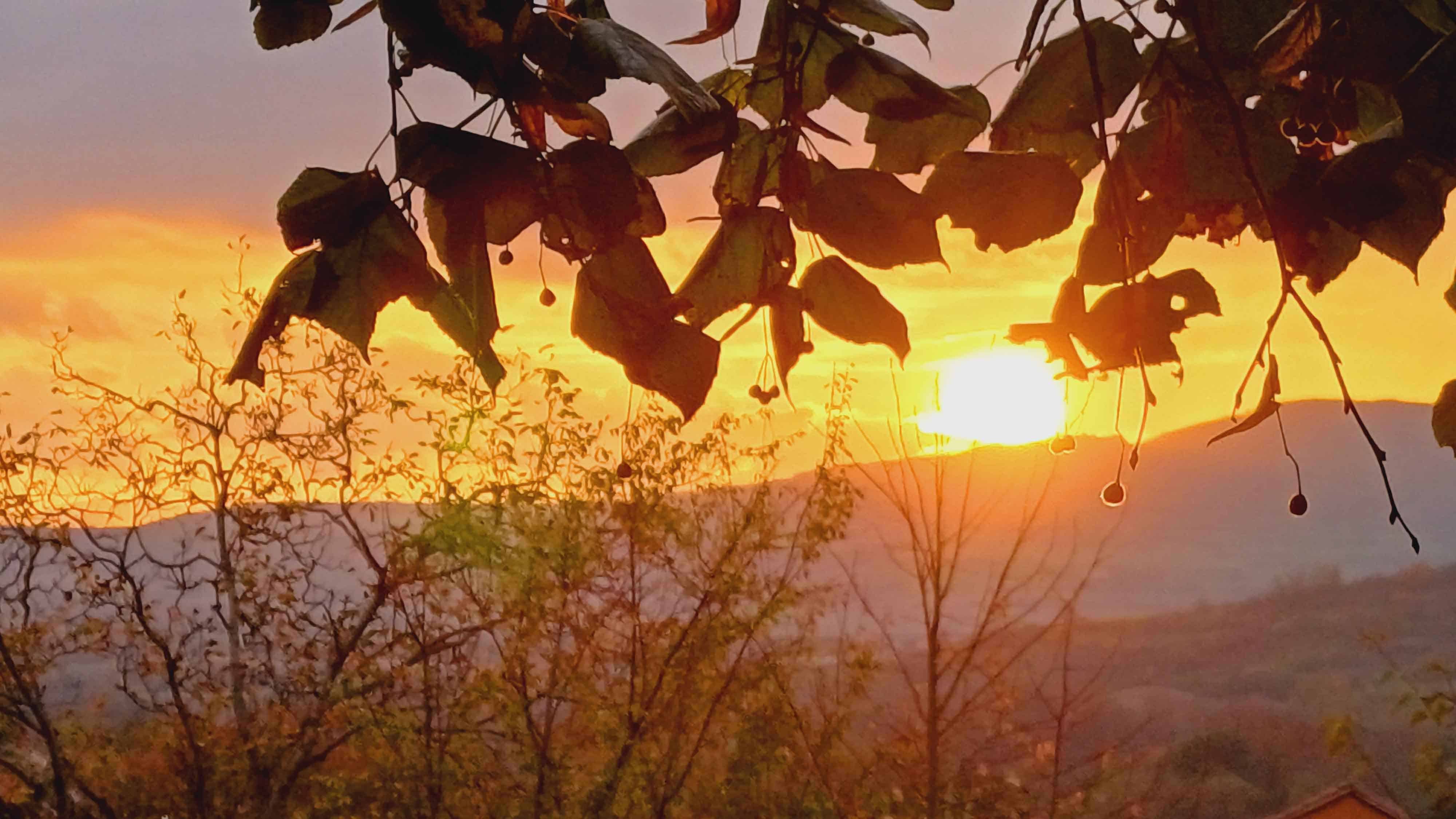 Photo n° 15 de la location