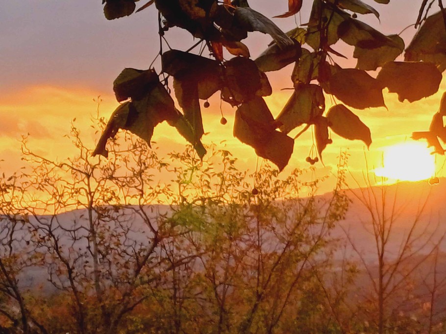 Photo n° 15 de la location